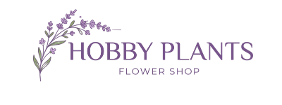 hobbyplantsth